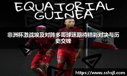 非洲杯激战埃及对阵多哥球迷期待精彩对决与历史交锋