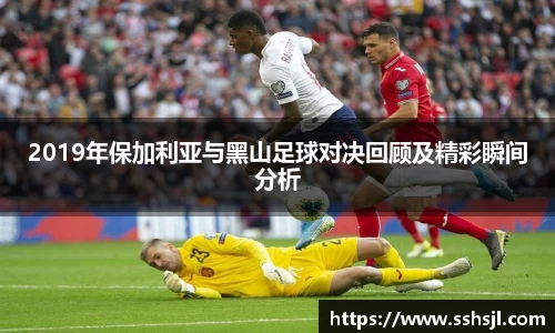 2019年保加利亚与黑山足球对决回顾及精彩瞬间分析