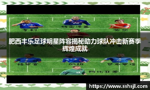 肥西丰乐足球明星阵容揭秘助力球队冲击新赛季辉煌成就